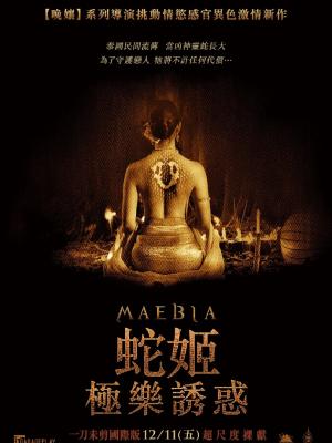 星辰之梦